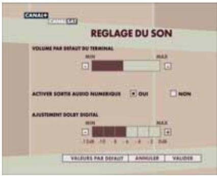 CANALSAT DECODEUR TNT+ DE TYPE 1 - Confort audio - 1
