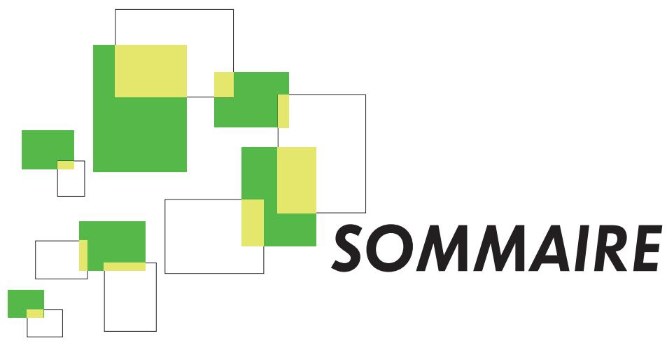CANALSAT DECODEUR TNT+ DE TYPE 3 - 2