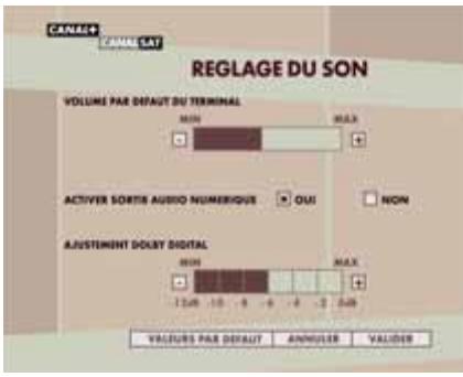 CANALSAT DECODEUR TNT+ DE TYPE 3 - CONFORT AUDIO - 1