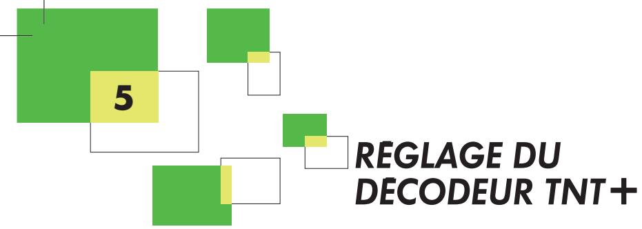 CANALSAT DECODEUR TNT+ DE TYPE 3 - CONFORT AUDIO - 2