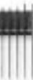 REMINGTON HC-912 - Product Features - 10