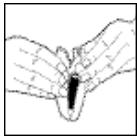 REMINGTON MS3-2000 - THE FOLLOWING PROCEDURE SHOULD BE FOLLOWED FOR BATTERY REMOVAL: - 3