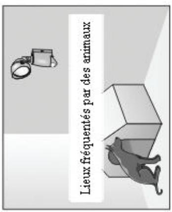 IDK MULTIMEDIA LIRS-100 - chutant. - 3