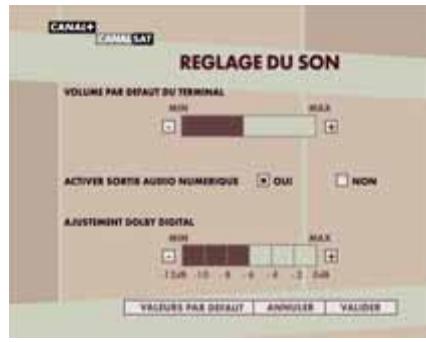 CANAL PLUS DECODEUR TNT+ DE TYPE 3 - CONFORT AUDIO - 1