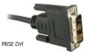 CANAL PLUS DUAL-T - RACCORDEMENT AU TELEVISEUR ET AU MATERIAL D'ENREGISTREMENT (DISQUE DUR EXTERNE OU GRAVEUR DVD DE SALON OU MAGNETOSCOPE) - 2