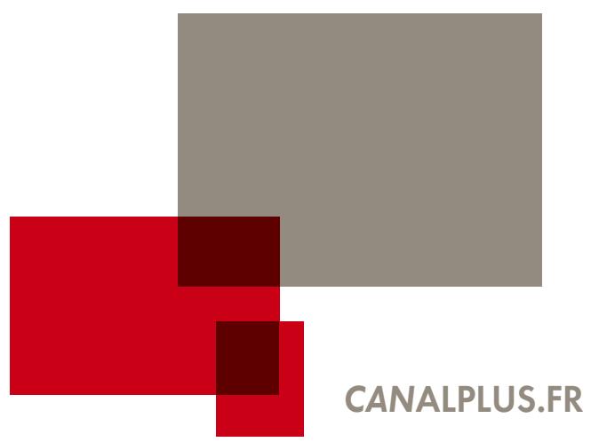 CANAL PLUS DECODEUR DE TYPE 1 - INDEX - 1