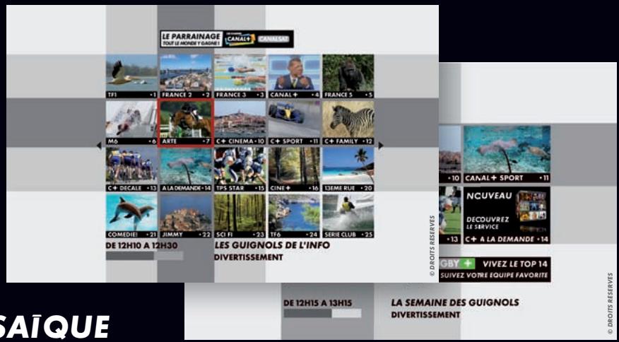 CANAL PLUS DECODEUR DUAL S - En pratique - 1