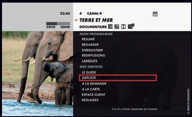 CANAL PLUS DECODEUR DUAL S - En pratique - 1