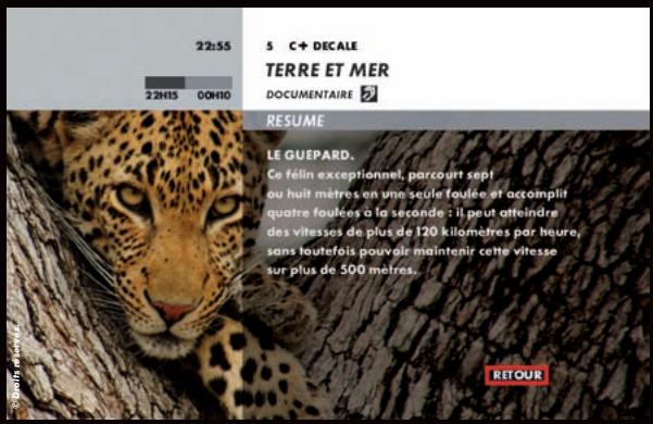 CANAL PLUS DECODEUR LE CUBE - INFORMEZ-VOUS SUR LE PROGRAMME EN COURS - 1