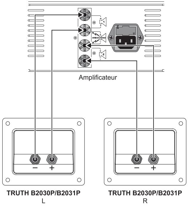BEHRINGER B2031P - Câblage - 1