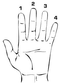 BEHRINGER BT108 BASSPACK - Main gauche (sur le manche) - 1