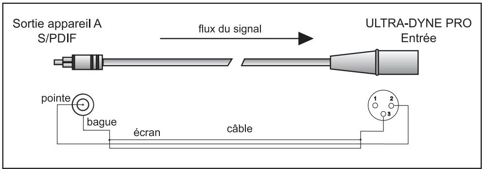 BEHRINGER DSP9024 - Connexions audio numériques par AES/EBU (option) - 1
