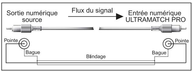 BEHRINGER SRC2496 - Liaison coaxiale sur cinch asymétrique - 1