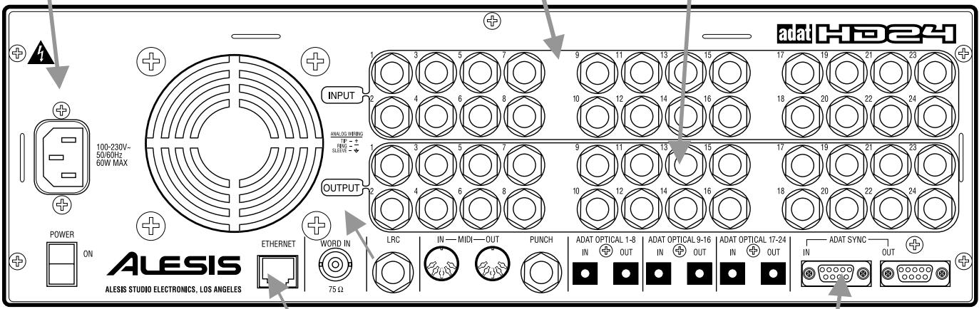 ALESIS ADAT-HD24 - ADAT optical (entrée/sortie numérique) - 1