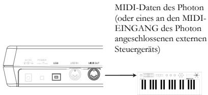 ALESIS PHOTON25 - Mindestanforderungen des Computers - 3