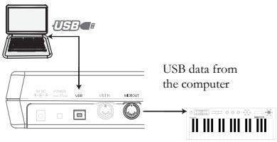 ALESIS PHOTON25 - Minimum Computer Requirements - 2