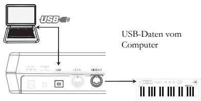 ALESIS PHOTONX25 - Anschlüsse der Rückseite - 2
