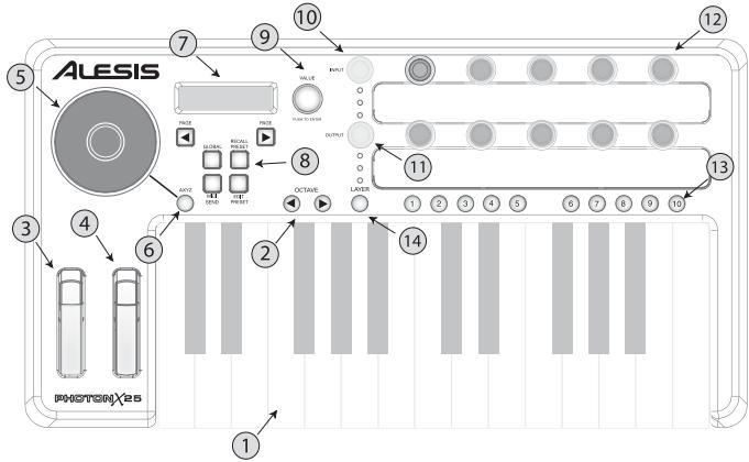 ALESIS PHOTONX25 - Anschlüsse der Rückseite - 4