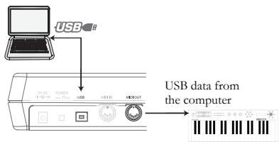 ALESIS PHOTONX25 - Rear-Panel Connections - 2