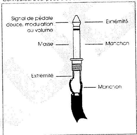 ALESIS ANDROMEDA A6 - Pédales et commutateurs au pied - 1