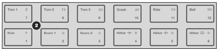 ALESIS SR18 - OVERVIEW OF THE CONTROLS - 3