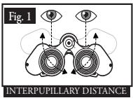 BUSHNELL IMAGEVIEW 11-8322 & 11-8322G (ENGLISH/SPANISH/FRENCH) - RéGLAGES EN FONCTION DES YEUX (Figure 1) - 1