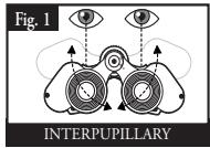 BUSHNELL IMAGEVIEW 11-8322 & 11-8322G (ENGLISH/SPANISH/FRENCH) - EYE ADJUSTMENTS (Figure 1) - 1