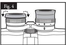 BUSHNELL BINOCULAR - 4