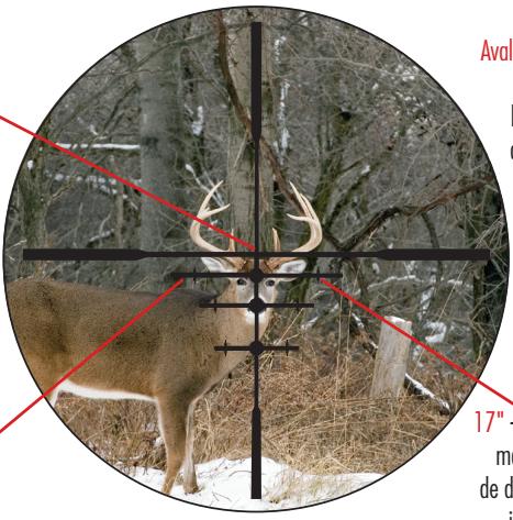 BUSHNELL DOA - O Sistema de Suporte Traseiro ("Rack Bracket") - 1