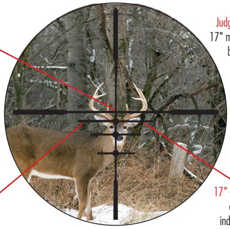 BUSHNELL DOA - The Rack Bracket System - 1