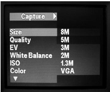 BUSHNELL IMAGEVIEW - Shooting Videos (Setting/Using Video Mode) - 3
