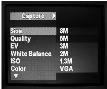 BUSHNELL IMAGEVIEW - Registrazione di video (Impostazione/Uso Modalità video) - 2