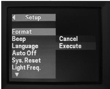 BUSHNELL IMAGEVIEW - Registrazione di video (Impostazione/Uso Modalità video) - 3