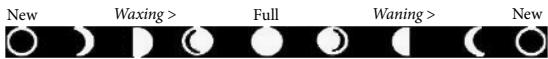 BUSHNELL TRAIL SCOUT 119935 - AUTO DAY/NIGHT IR FILTER SWITCH (Models 119935/119905 Only) - 1