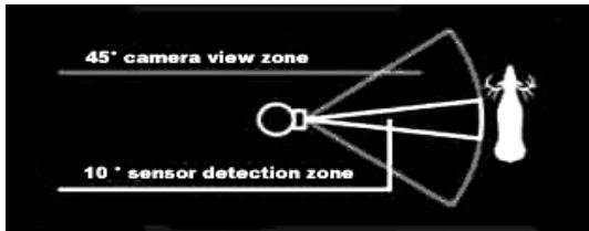 BUSHNELL TRAIL SENTRY - ABOUT THE PIR SENSOR - 1