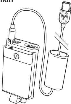 BELKIN BATTERIE DE RECHANGE RECHARGEABLE TUNEPOWER #F8E490EA - Ricarica della TunePower Belkin - 1