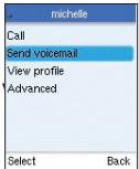 BELKIN SKYPEPHONE #F1PP000GNFR - Invio di messaggi vocali - 2