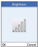 BELKIN SKYPEPHONE #F1PP000GNFR - Display - 4