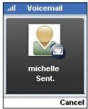 BELKIN SKYPEPHONE #F1PP000GNFR - Envoi d'un message vocal - 4