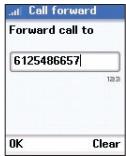 BELKIN SKYPEPHONE #F1PP000GNFR - Ein Geschäft umleiten - 5