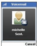 BELKIN SKYPEPHONE #F1PP000GNFR - Voicemail verzenden - 4