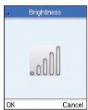 BELKIN SKYPEPHONE #F1PP000GNFR - Display - 4
