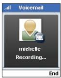 BELKIN SKYPEPHONE #F1PP000GNFR - Hinweise: - 3