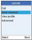 BELKIN SKYPEPHONE #F1PP000GNFR - Voicemail verzenden - 2