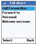 BELKIN SKYPEPHONE #F1PP000GNFR - Divert a Call - 3