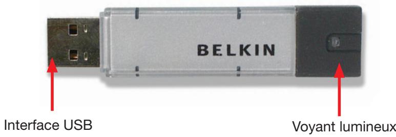 BELKIN USB 2.0 FLASH DRIVE - Avertissements - 1