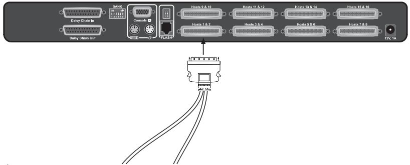 BELKIN SWITCH KVM 4 PORTS PRO3 PS/2 #F1DA104QEA - Étape 4 - 1