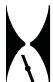 MURRAY 6210701X61 - Symboles de dangers et leurs significations - 5