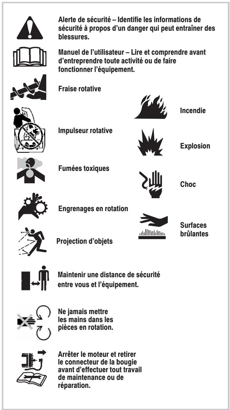 MURRAY 6240810X61 - Symboles de dangers et leurs significations - 1