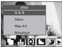Effet N & B Sépia Nég.Art Mosaïque
